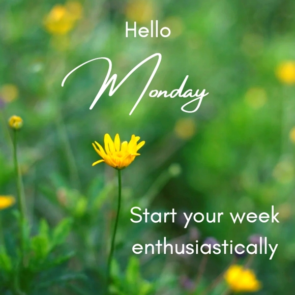 Days of the week π±ββοΈ - Picture 8 of 16